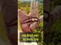 Download Lagu Chandigarh- A City of Two Plans 🔥| Part-2 | Le Corbusier | Albert Mayer #chandigarh