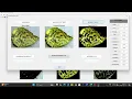 MATLAB - Project Leaf Disease Detection using CNN FITCSVM Image Processing and Machine Learning
