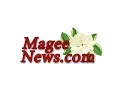 MageeNews com Livestream