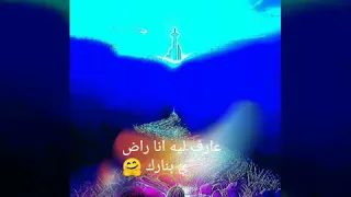 اغنيه عارف ليه 