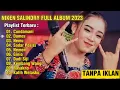 Download Lagu CUNDAMANI NIKEN SALINDRY FULL ALBUM TERBARU 2023 ( TANPA IKLAN )
