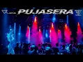 Download Lagu Special Dugem Pujasera/Nonstop Full Melody/Merapat Boss《2021》