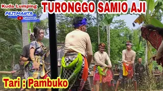 Download JARANAN TURONGGO SAMIO AJI || Tari Pambuko || Live Ketawang MP3