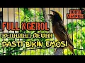 Download Lagu 99'9% bikin EMOSI, SUARA BESETAN MANYAR GACOR ampuh buat PANCINGAN MANYAR BAHAN \u0026 MANYAR MALAS BUNYI