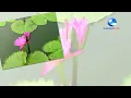 ลาวกระทบไม้ - ชาตรี สุวรรณมณี, ชาญชัย ศรีทองแจ้ง