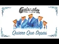 Cardenales De Nuevo León - Quiero Que Sepas (Visualizer)