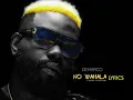 Demarco  No Wahala Official Lyrics Video