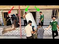 Download Lagu De strijd om de koelkast terug te veroveren: Ali, moeder en Mehdi in een spannende uitdaging
