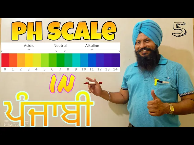 PH Scale Explained Simply || In Punjabi || Acidity and basicity