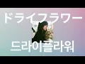 너에게 시들지 않은 꽃을 줄테니까🥀: 유우리(Yuuri) - 드라이 플라워(Dry flower) [가사/발음/한글 자막]