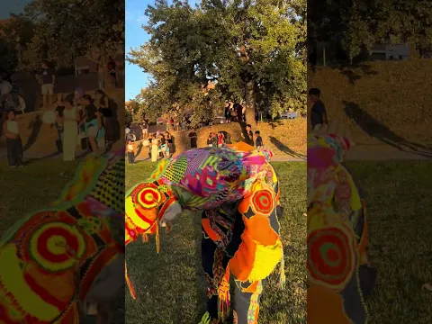 Karcocha Fira Tarrega 2026