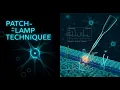 What Is Patch Clamp Mastering Cell Electrophysiology Techniques