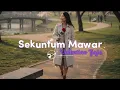 Lagu SEKUNTUM MAWAR - ROKELYA | COVER 🎙️