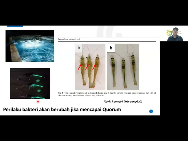 Quorum Sensing - Memahami Bahasa Bakteri