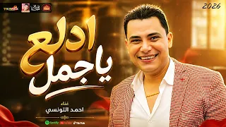 احمد التونسى        ادلع ياجمل      دندنها