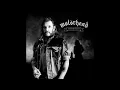 Motörhead - Hawkwind