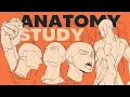 HOW I PRACTICE DRAWING ANATOMY