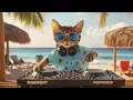Download Lagu Caribbean Chill 🏝️ | DJ MIAWW’s Tropical House Sunset from Jamaica 🇯🇲