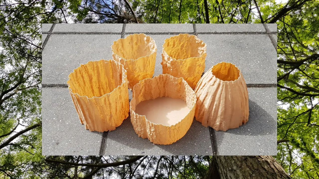 3D Scan of Fastigiate Hornbeam