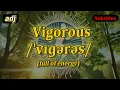 adj Vigorous meaning full of energy with 5 examples