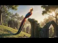 Top 99 Most Beautiful and Strange Birds in the World 🦚 | 4K Wildlife Documentary