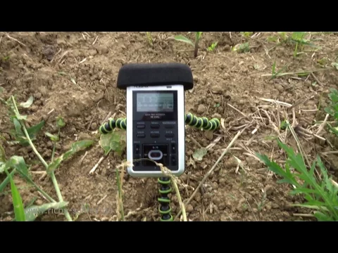 Download MP3 Roland R-05 (Metall) WAV MP3 Recorder Naturgeräusche nature sounds