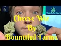 Cheese Wiz By Bountiful Farms STRAIN REVIEW