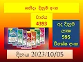Sanida 4393 10 05