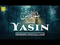 Download Lagu Surah Yasin (سورة يس) Recitation | Rizq \u0026 Barakah | Morning Quran Recitation | Alaa Aqel