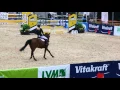 Download Lagu Champion de Quidam RV CSI** Ising am Chiemsee 1.45