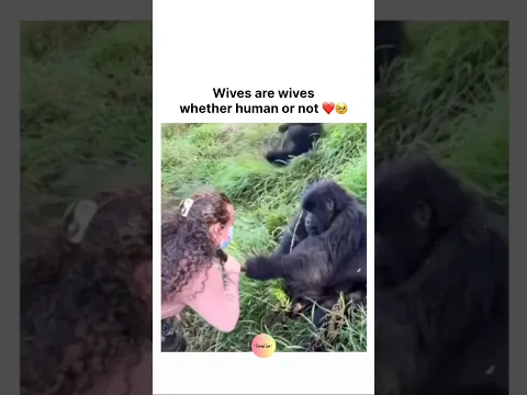 Wives are wives whether human or not ❤️🥹