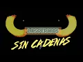 Los Pericos   Sin Cadenas   Backing Track SIN BAJO