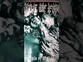 Download Lagu Cradle Of Filth - The Principle Of Evil Made Flesh