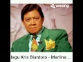 MARLINA-KRIS BIANTORO (cover) by Enida Ns #marlina #krisbiantorocover @enidans7307