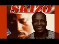 Download Lagu Skizo - Tshasa (feat. Thebe)