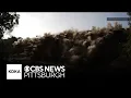 Explosion demolishes Commercial Street Bridge in Pittsburgh Pennsylvania Live Coverage