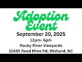 Southeast German Shepherd Rescue - Adoption Event