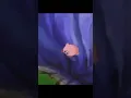 KIRBY CAINDO AO SOM DE SEU MADRUGA #shorts #short #chaves #meme #memes #memesbr #shitpost #kirby