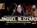 Download Lagu DJ JINGGEL BLIZZARD DUGEM PARTY STYLE -  PUSH YOUR HANDS UP  - HOREG BALAP - DIDIK JANGKRIK