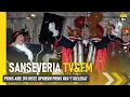 Download Lagu Prins Arie d'n Irste opnieuw Prins van 't Kielegat | Sanseveria TV \u0026 FM