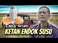 Download Lagu Ketan Endok Susu - Catur Arum