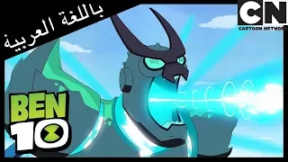 بن      إعادة تشكيل   كرتون نتورك دندنها