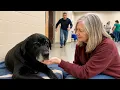 No One Chose Him on Adoption Day Until a Man Came Running In