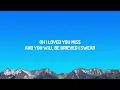 Dominic Fike - misses (Lyrics)