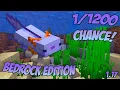 How to Spawn Blue Axolotl in Minecraft Bedrock Edition