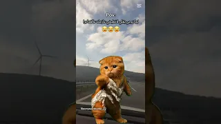 شو رأيك كزدورة     اكسبلور  ناصيف زيتون  بدون موسيقى  حالات واتس  ستوريات         دندنها