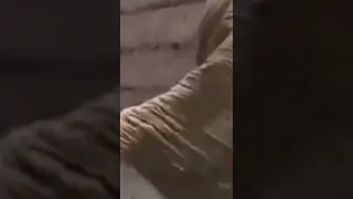 حيدر حيدر أول أخر حيدر الامام علي ع تصميمي 