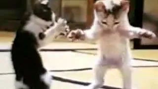 حميدو   طيور بيبي دندنها