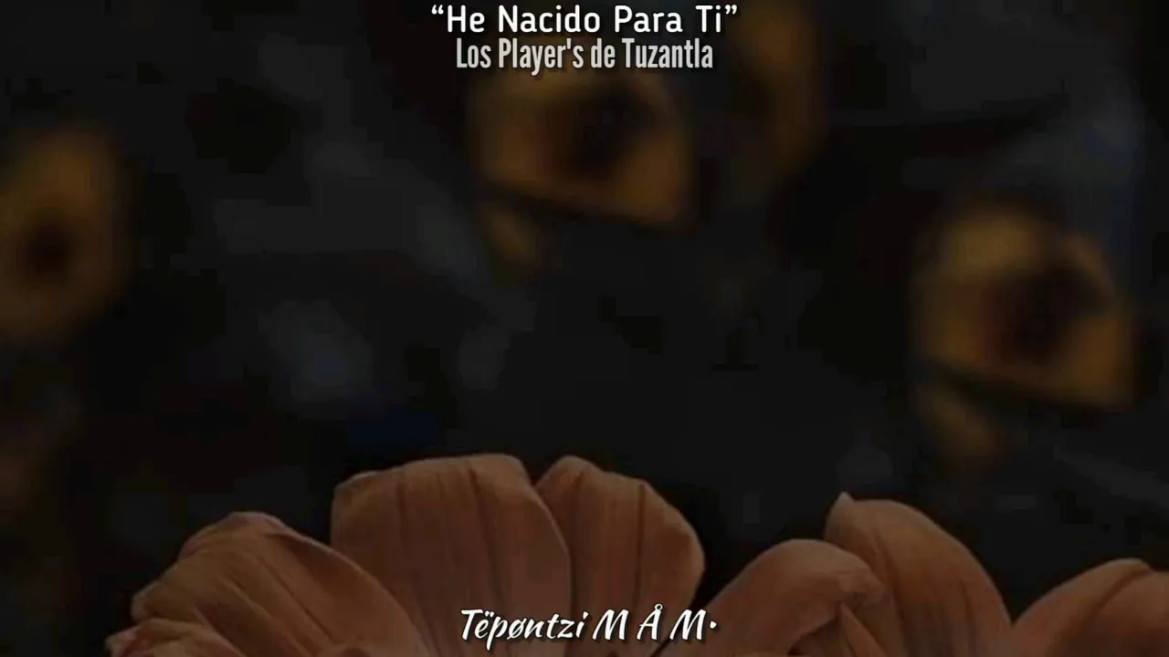 He Nacido Para Ti - Los Player's de Tuzantla, Letra. He Nacido Para Ti - Los Player's de Tuzantla, Letra.