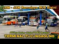 Download Lagu JAM - JAM Padatnya BUS Disini!! Bus ARTIS pada BERANGKAT!! TERMINAL Gayatri Tulungagung